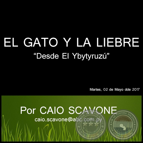 EL GATO Y LA LIEBRE - Desde El Ybytyruzú - Por CAIO SCAVONE - Martes, 02 de Mayo de 2017